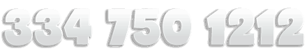3347501212
